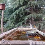 photo 2023-10-16 17-30-27