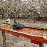 photo 2021-03-19 08-29-45