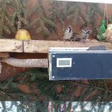 photo 2021-02-12 09-47-10