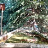 photo 2023-10-03 10-45-26