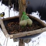 photo 2019-01-10 09-56-48