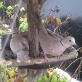 photo 2019-12-02 13-23-36