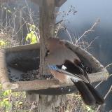 photo 2019-12-23 09-01-39