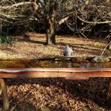 photo 2021-10-29 09-36-09