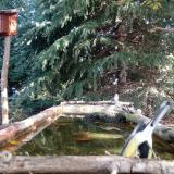 photo 2023-10-12 10-20-23