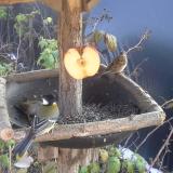 photo 2019-12-03 12-47-45