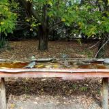 photo 2021-10-08 12-12-47