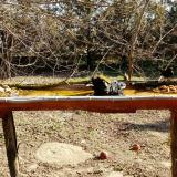 photo 2021-03-13 09-20-15