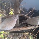 photo 2019-12-23 13-16-16