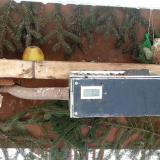 photo 2021-02-11 11-18-30