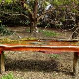 photo 2021-04-13 10-01-13