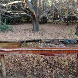 photo 2021-10-26 08-08-47