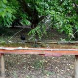 photo 2021-05-24 11-25-37