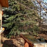 photo 2021-12-15 11-26-54