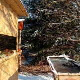 photo 2022-01-09 09-54-41