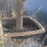 photo 2019-12-31 11-19-47