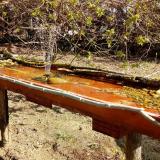 photo 2021-04-05 10-18-30