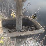 photo 2019-12-29 08-36-12