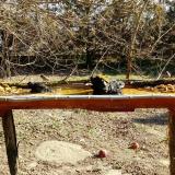 photo 2021-03-13 09-26-27