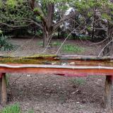 photo 2021-04-16 18-02-52