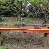 photo 2021-04-17 16-48-46