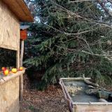 photo 2021-12-22 10-00-32