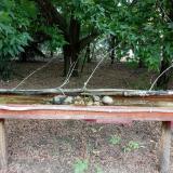 photo 2021-07-12 09-31-49