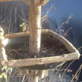 photo 2019-12-27 14-27-52