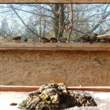 photo 2022-01-19 14-05-40