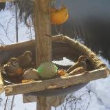 photo 2019-01-27 09-19-28