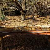 photo 2021-10-25 14-26-48