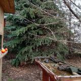 photo 2021-12-16 12-55-13