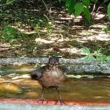 photo 2021-05-21 15-37-37 rigo