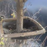 photo 2019-12-29 12-08-59