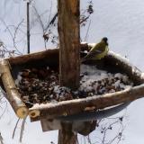 photo 2019-01-09 08-26-49