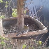 photo 2019-12-17 11-24-32