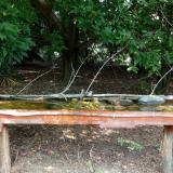 photo 2021-08-23 12-28-24