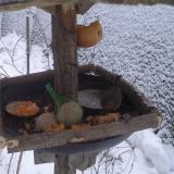 photo 2019-01-25 07-32-14