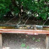 photo 2021-07-26 13-36-01