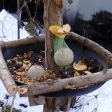 photo 2019-01-14 07-48-48