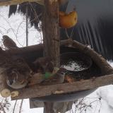 photo 2019-01-27 11-44-30