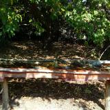 photo 2021-10-02 11-50-24