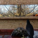 photo 2022-01-24 14-56-42