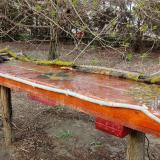 photo 2021-04-01 16-47-11