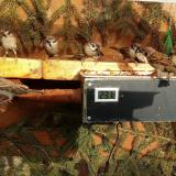 photo 2021-02-24 15-27-21