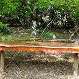 photo 2021-04-30 14-10-21