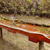 photo 2021-04-06 11-44-51