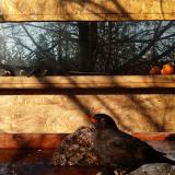 photo 2022-01-24 09-35-51