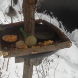 photo 2019-01-23 08-33-47