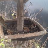 photo 2019-12-25 10-41-21